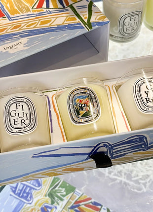 Vela de aromaterapia, velas aromáticas de plantas naturales, fragancia francesa, regalo aromático de compañero de aire duradero fresco y elegante