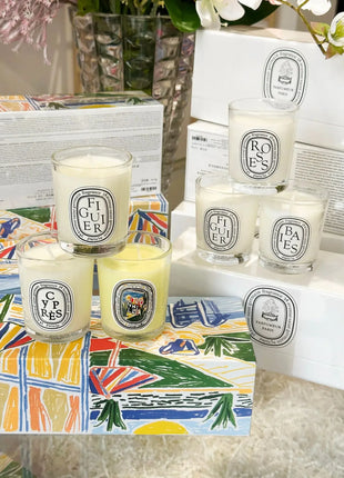 Vela de aromaterapia, velas aromáticas de plantas naturales, fragancia francesa, regalo aromático de compañero de aire duradero fresco y elegante