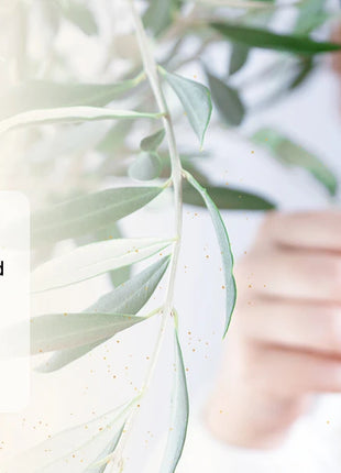 EUQEE 10ML aceites esenciales naturales eucalipto menta vainilla lavanda limón aceite de organo para humidificador DIY jabón, fabricación de velas