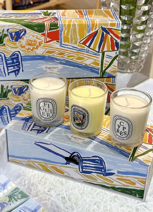 Vela de aromaterapia, velas aromáticas de plantas naturales, fragancia francesa, regalo aromático de compañero de aire duradero fresco y elegante