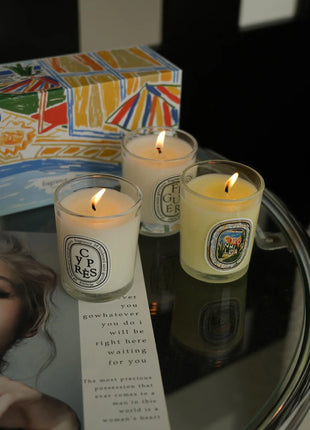 Vela de aromaterapia, velas aromáticas de plantas naturales, fragancia francesa, regalo aromático de compañero de aire duradero fresco y elegante