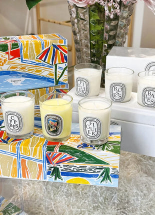 Vela de aromaterapia, velas aromáticas de plantas naturales, fragancia francesa, regalo aromático de compañero de aire duradero fresco y elegante