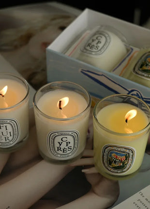 Vela de aromaterapia, velas aromáticas de plantas naturales, fragancia francesa, regalo aromático de compañero de aire duradero fresco y elegante