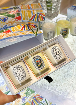 Vela de aromaterapia, velas aromáticas de plantas naturales, fragancia francesa, regalo aromático de compañero de aire duradero fresco y elegante