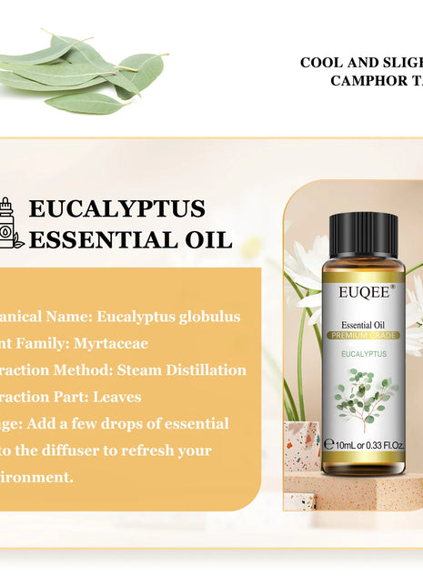 EUQEE 10ML aceites esenciales naturales eucalipto menta vainilla lavanda limón aceite de organo para humidificador DIY jabón, fabricación de velas