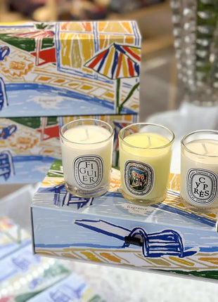 Vela de aromaterapia, velas aromáticas de plantas naturales, fragancia francesa, regalo aromático de compañero de aire duradero fresco y elegante