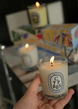 Vela de aromaterapia, velas aromáticas de plantas naturales, fragancia francesa, regalo aromático de compañero de aire duradero fresco y elegante