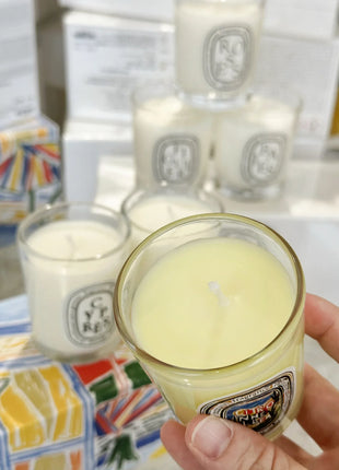 Vela de aromaterapia, velas aromáticas de plantas naturales, fragancia francesa, regalo aromático de compañero de aire duradero fresco y elegante