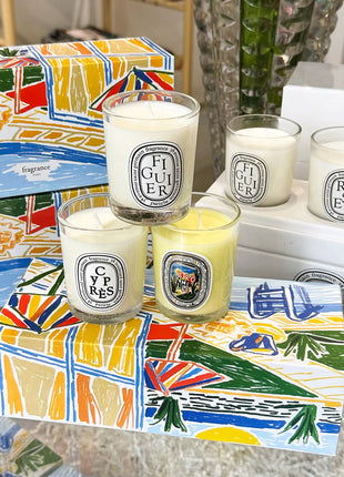 Vela de aromaterapia, velas aromáticas de plantas naturales, fragancia francesa, regalo aromático de compañero de aire duradero fresco y elegante