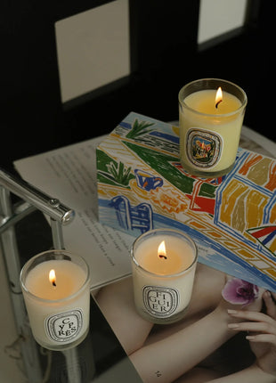 Vela de aromaterapia, velas aromáticas de plantas naturales, fragancia francesa, regalo aromático de compañero de aire duradero fresco y elegante