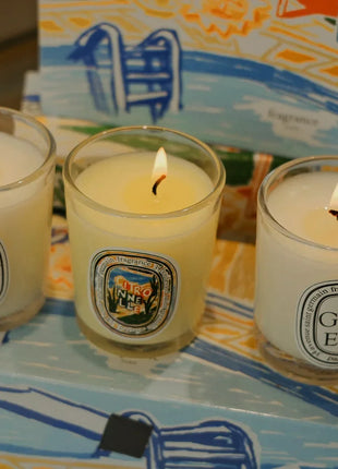 Vela de aromaterapia, velas aromáticas de plantas naturales, fragancia francesa, regalo aromático de compañero de aire duradero fresco y elegante