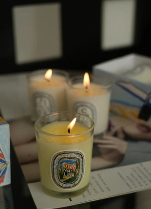 Vela de aromaterapia, velas aromáticas de plantas naturales, fragancia francesa, regalo aromático de compañero de aire duradero fresco y elegante