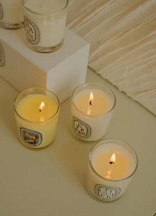 Vela de aromaterapia, velas aromáticas de plantas naturales, fragancia francesa, regalo aromático de compañero de aire duradero fresco y elegante