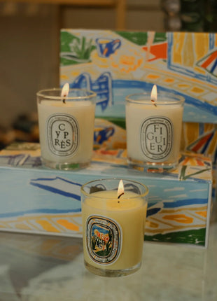 Vela de aromaterapia, velas aromáticas de plantas naturales, fragancia francesa, regalo aromático de compañero de aire duradero fresco y elegante