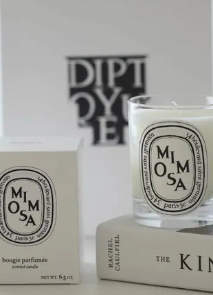 Vela de aromaterapia, velas aromáticas de plantas naturales, fragancia francesa, regalo aromático de compañero de aire duradero fresco y elegante