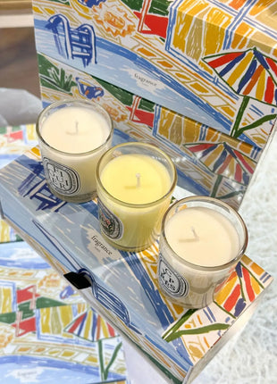 Vela de aromaterapia, velas aromáticas de plantas naturales, fragancia francesa, regalo aromático de compañero de aire duradero fresco y elegante