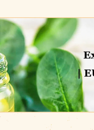 EUQEE 10ML aceites esenciales naturales eucalipto menta vainilla lavanda limón aceite de organo para humidificador DIY jabón, fabricación de velas